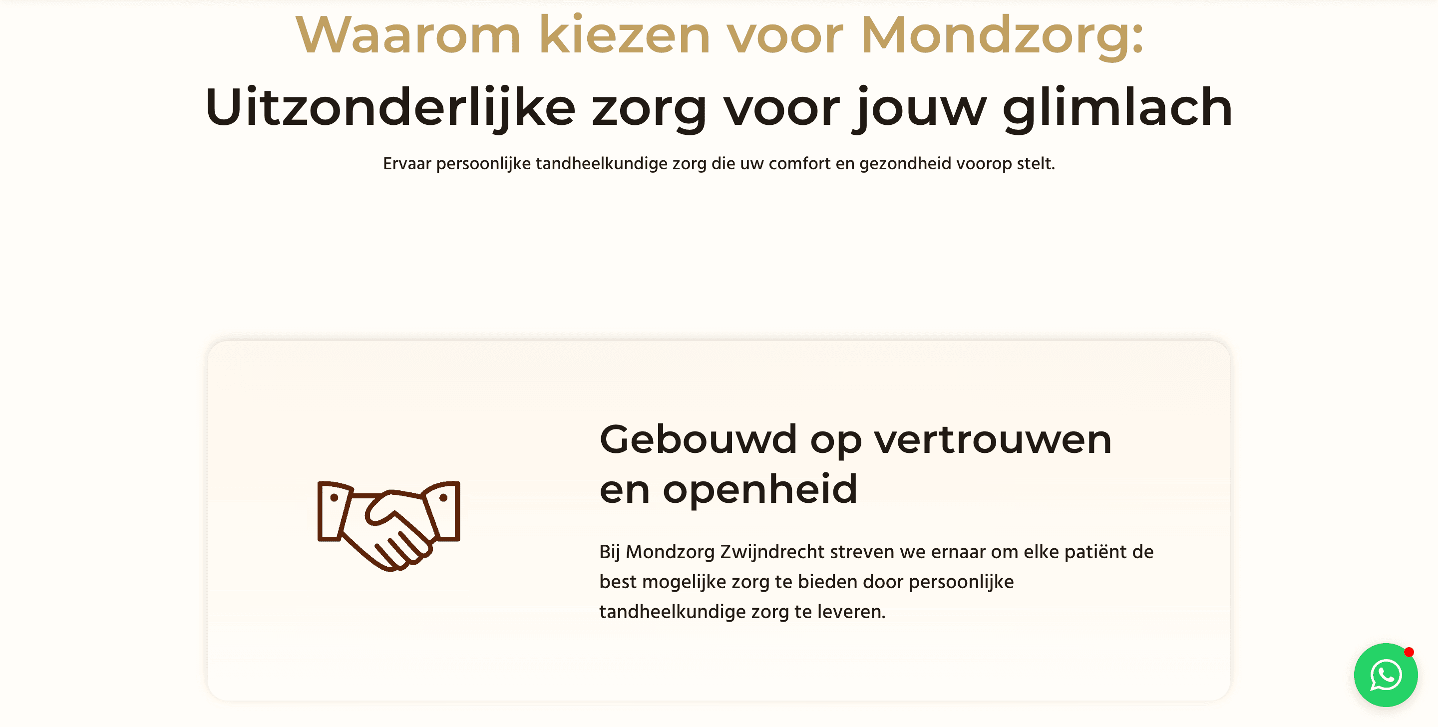 Mondzorg Zwijndrecht project screenshot 2