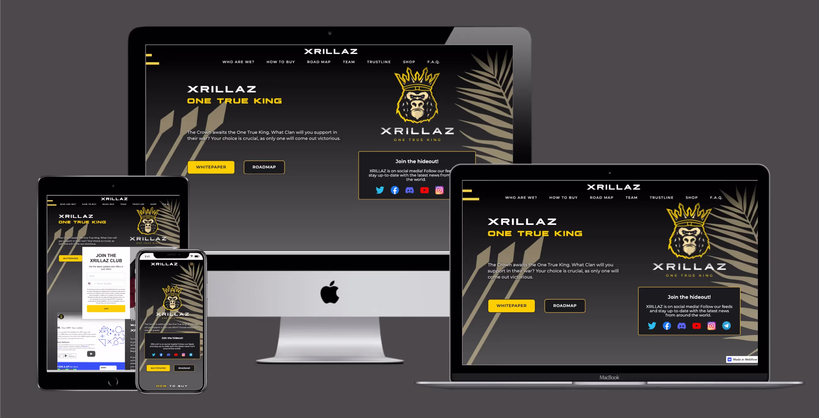 Xrillaz project screenshot 1